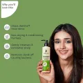 Pilgrim Australian Tea Tree Non-Drying Anti-Dandruff Shampoo For Prevents Dandruff Recurrence 200 ml. 