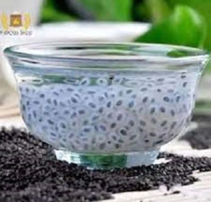 Tokma%20Dana%20Basil%20Seeds%20Pure%201kg%20-%20Image%204