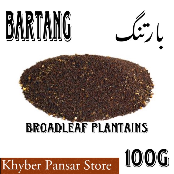 BARTANG - BROADLEAF PLANTAIN - 100g