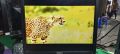 19 inchi dell monitor,  official used product. 