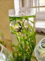 Glass cylinder for betta fish , mini plant terrarium, fish bowl / aquarium / Fish tank /cylinder. 