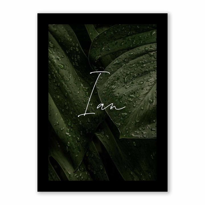 A4%20size%20photo%20frame%20(leaf)%20minimalist%20photo%20frame%20table%20photo%20frame%20wall%20photo%20props%20-%20Image%209