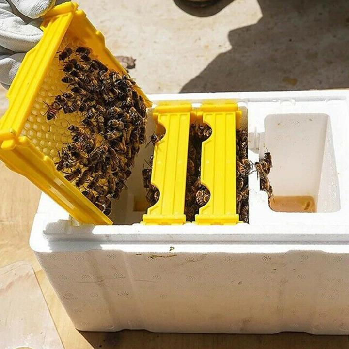 Queen Bee Breeding Box Bee Rearing Mating Box Foam Beehive Pollination ...