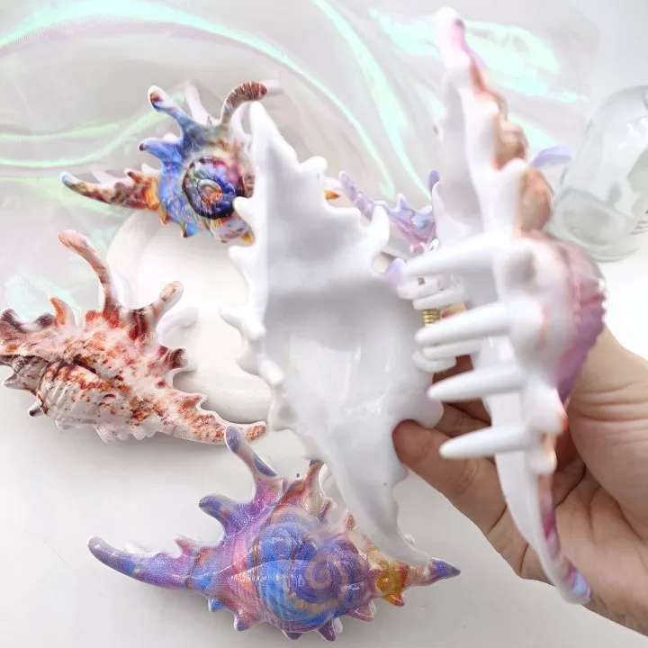 High%20Quality%20Plastic%20Wave%20Crab%20Claw%20Clips%20conch%20ocean%20design%20Shark%20Hair%20Clips%20Geometry%20High%20Ponytail%20Barrette%20Hairpin%20-%20Image%205