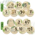 7pcs Newborn Photography Props Baby Milestone Card Animal Print Wooden Monthly Recording Commemorative Cards Baby Shower Gifts. 