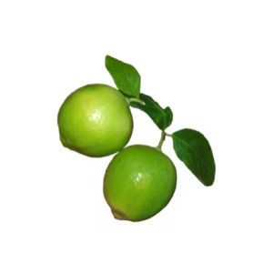 lemon%201kg%20%E0%B6%BD%E0%B7%99%E0%B6%B8%E0%B6%B1%E0%B7%8A%20%E0%B6%AF%E0%B7%99%E0%B7%84%E0%B7%92%20%E0%AE%8E%E0%AE%B2%E0%AF%81%E0%AE%AE%E0%AE%BF%E0%AE%9A%E0%AF%8D%E0%AE%9A%E0%AF%88%20-%20Image%203