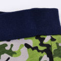 5 pieces/set of boys' cute boxer briefs cotton comfortable underwear. 