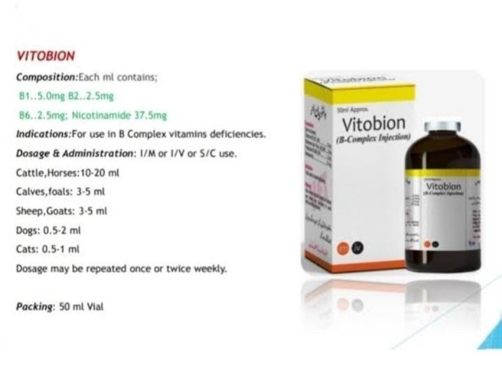 Vitobion%20(B%20Complex)%20Vitabion%20for%20Birds%20and%20Animals%20-%20Image%208