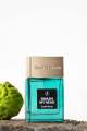 Smash My Head EDP | Our Top Rated Perfume For Men | Long Lasting | Scents N Stories. 