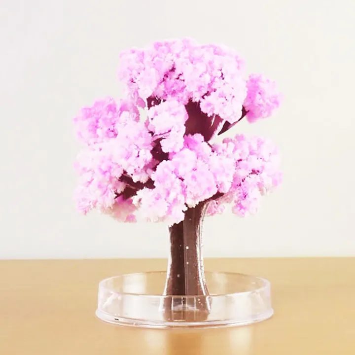 Paper%20Tree%20Flowering%20DIY%20Cherrytree%20Paper%20Sakura%20Crystal%20Trees%20Magically%20Paper%20Magic%20Growing%20Tree%20Japan%20Desktop%20Cherry%20Blossom%20-%20Image%207