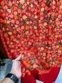 Orginal Kashmiri Poshmina Shawl For Women. 