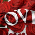 3Pcs Romantic Love Letter Red Rose Flower Pattern Bedding Set Included 1 Duvet Cover & 2 Pillowcases For Home Dorm Hotel Decor. 