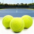 5/10PCS High Elasticity Tennis Professional Tennis Training Game Ball Outdoor Dogs Bite and Chomp 63mm Tennis Ball. 