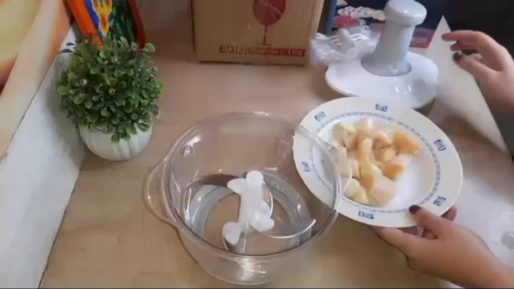 Chopper Food Processor, Press Start Quick Operation,Mixer, Transparent Bowl is Safe and Reliable, Kitchens Best Food Chopper, Blender to Chop Fruits Onions