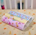 New Born Baby Plastic Waterproof Sheets Mats (Multi Colour)Big Size. 