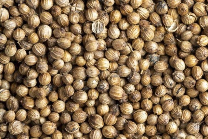 Sabut%20Dhaniya%20/%20Khushk%20Dhaniya%20/%20Dry%20Coriander/Coriander%20Seeds%20100g%20-%20Image%203