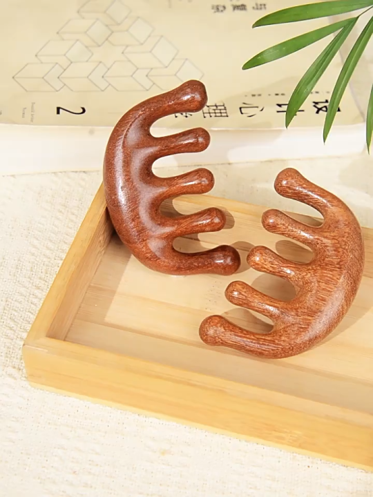 Multifunctional Scalp Resin Massage Comb for Hair Loss and Scalp Treatment Scraping and Unblocking Meridians Comb Portable Wide Tooth Wooden Comb