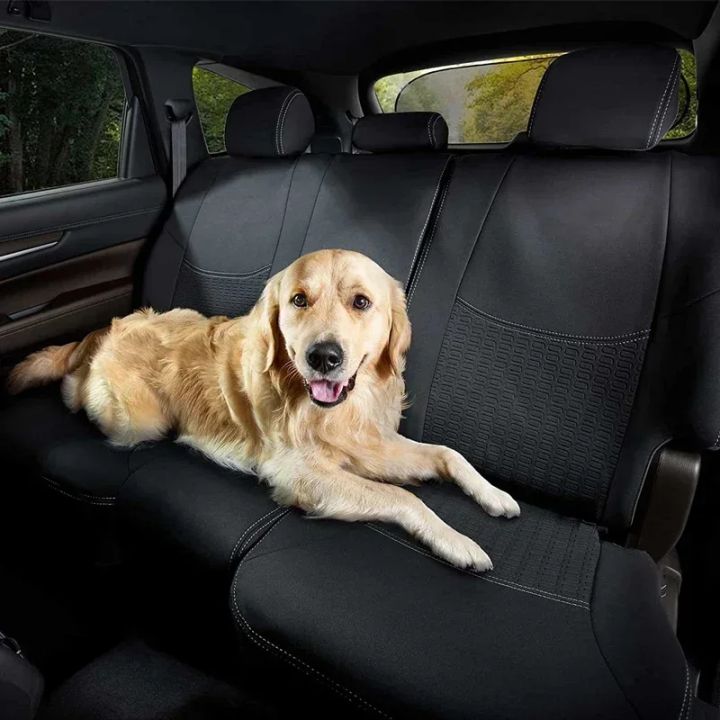 Car%20Sun%20Shade%20UV%20Protection%20Folding%20Auto%20Rear%20Window%20Sunshade%20100x50cm%20Universal%20Mesh%20Back%20Window%20Visor%20with%20Suction%20Cups%20-%20Image%205