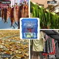 Solar Shukuti Maker – Meat, Fish & Vegetable Dryer. 