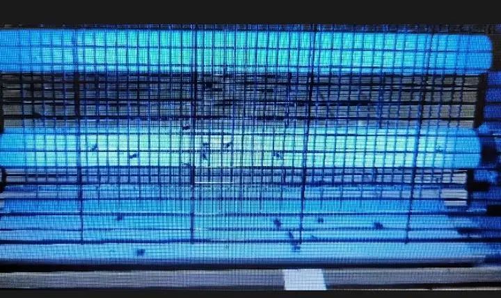 Led%20Mosquito%20Killing%20Lamp%20(%20Pest%20Killer)%2020%20Watt%201%20feet%20-%20Image%206