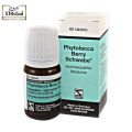 Phytolacca Berry Tablets – For Weight Loss | Fat Burner. 