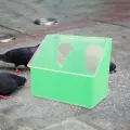 Pigeon Feed Box Parrot Feeder Hanging Plastic Pet for Cage Bird Cockatiel Water Trough Containers Food. 