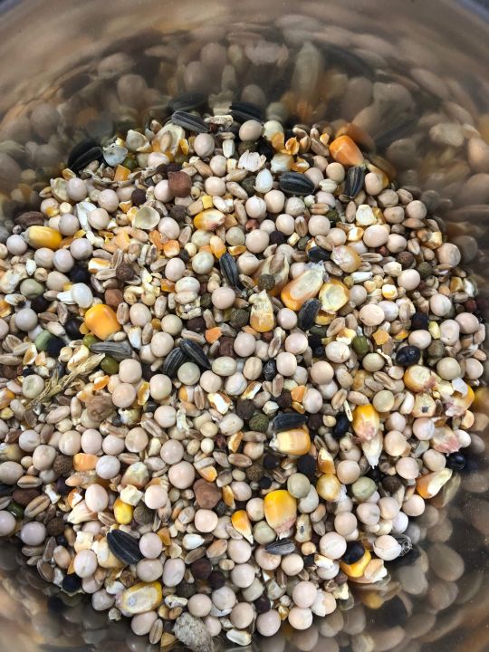 Pigeon food Racer mixer 1kg