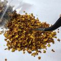 33ml Miniature Leaves Simulation Falling Leaves for DIY Model Basing Railway Fairy Garden Diorama Supplies Village Accessories.