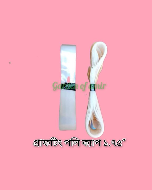 Grafting%20poly%20cap%20for%20grafting%20100gm%20tube%20polythene%201.75%20inche%20-%20Image%204