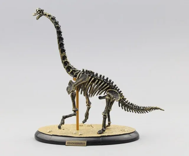 Assemble%20Dinosaur%20Bones%20Triceratops%20Skeleton%20%20Mammoth%20Mammuthus%20Assembled%20%20Tyrannosaurus%20Rex%20Puzzles%20%20Toys%20-%20Image%207
