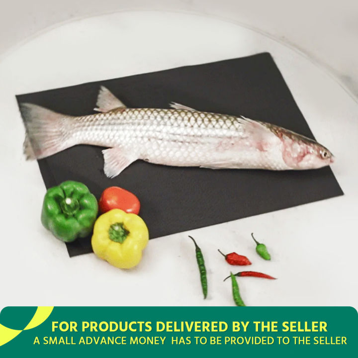 Vangal Processed Fish – 500g | Convenient & Flavorful Seafood
