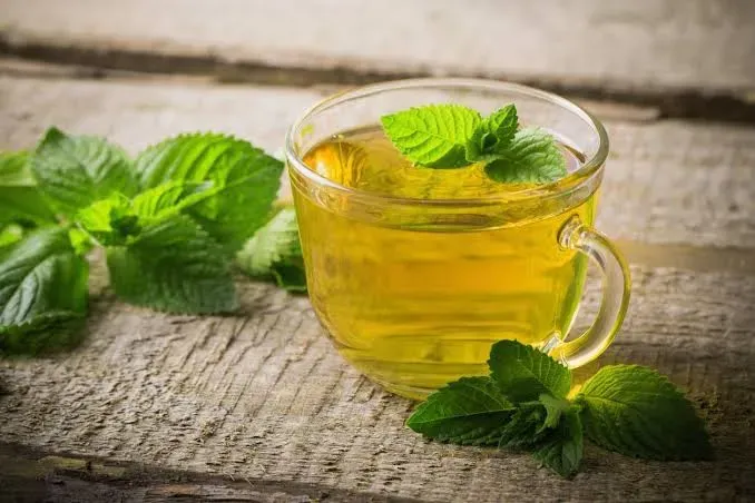 Spearmint%20Tea%20%7C%20Spearmint%20Tea%20%7C%20Spearmint%20Tea%20250G%20-%20Image%202