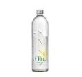Olu water bottle 625 ml glass water bottle. 