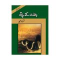 jannat  kay pattay urdu novel by nemra nimra Ahmad. bestselling urdu reading book. 