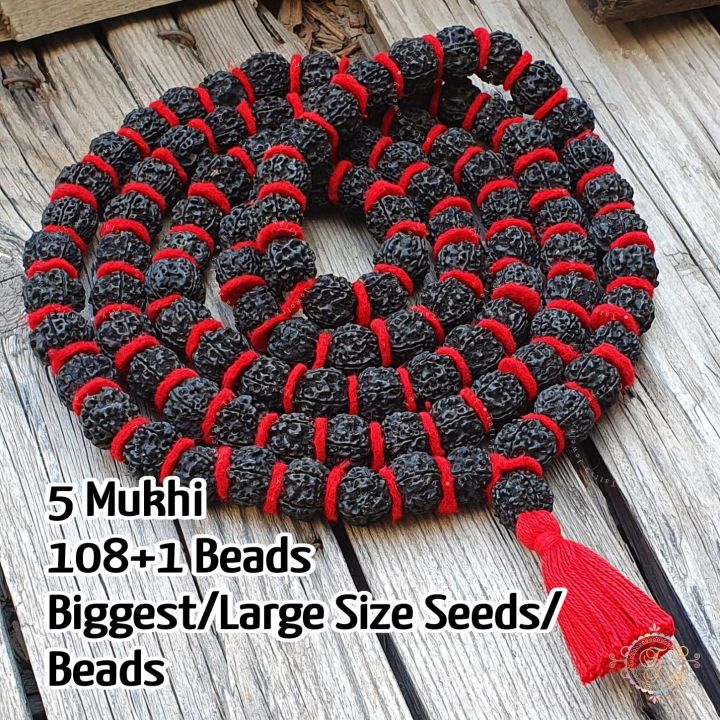Nepali Mukhi Black Rudraksha Kantha Mala 108+1 Biggest