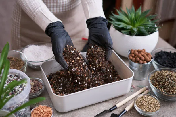PUMICE%20STONE%20/10%20kg%20/%20FOR%20%F0%9F%8C%B5%20Cactus%20,%20succulent,%20drainage%20,%20lightweight%20concrete%20aggregate%20&%20bonsai%20soil%20mix%20-%20Image%205