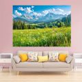 Spring scenery, green grassland, pine trees, forest background, photography, camping, adventure, party background, banner. 