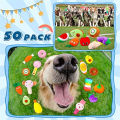 50PCS/Pack Dog Squeaky Toys Bulk, Plush Dog Toys for Small Medium Dog, Cute Stuffed Pets Squeaky Toys Dog Puppy Birthday. 