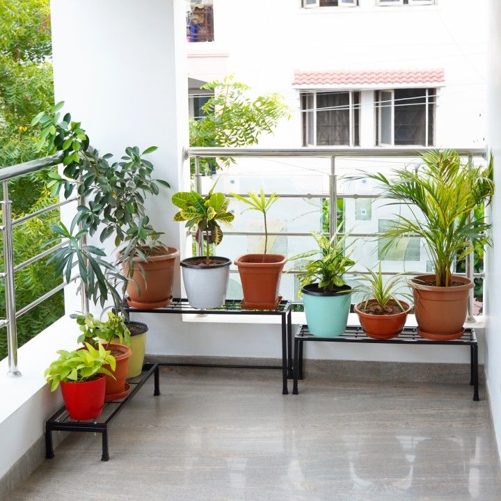 Matel%20stand%20for%20plants,%20set%20of%203,2,or%201%20-%20Image%202