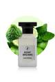 In My Dreams | Our Best Selling Green Perfume | Long Lasting | Scents N Stories | 50ml. 
