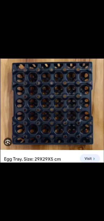 Pilastic%20Egg%20Tray-2%20pis%20-%20Image%203
