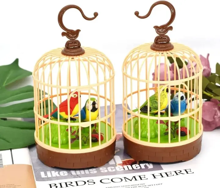 Cute%20Mini%20Bird%20Cage%20Toy%7CRecording%20Function%20Bird%20Cage%20Toy%20For%20All%7CBest%20Gift%20Item%20For%20Kids%7CVoice%20Control%20%20Cute%20Mini%20Bird%20Cagerc%20%7CRecording%20Function%20Automatically%20%20Play%7Ckotha%20bola%20auto%20pakhir%20khacha%20bacchader%20jonno%20-%20Image%206