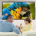 60 84 100 120 150 Inch Projector Screen Portable Projection Screen16:9,Outdoor Movie Screen For Travel Home Theater For HY300. 