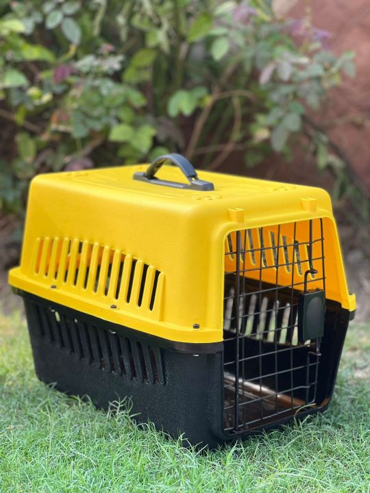 Traveling Jet Box for Pets