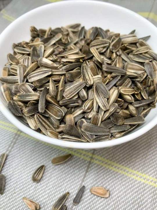 Roasted%20savory%20sunflower%20seeds%20160%20gram%20-%20Image%204
