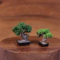1/12 Dollhouse Simulation Mini Green Tree Potted Dollhouse Home Decorations Dolls House Micro Landscape Garden Ornament. 