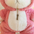Vorix Cute 30/40cm Teddy Bear Plush Funny Turn Into Dinosaur Shark Sheep Creative Doll Valentines Day Gifts Birthday Kids Party Decor. 