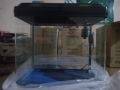 imported Aquarium (500 EL). 