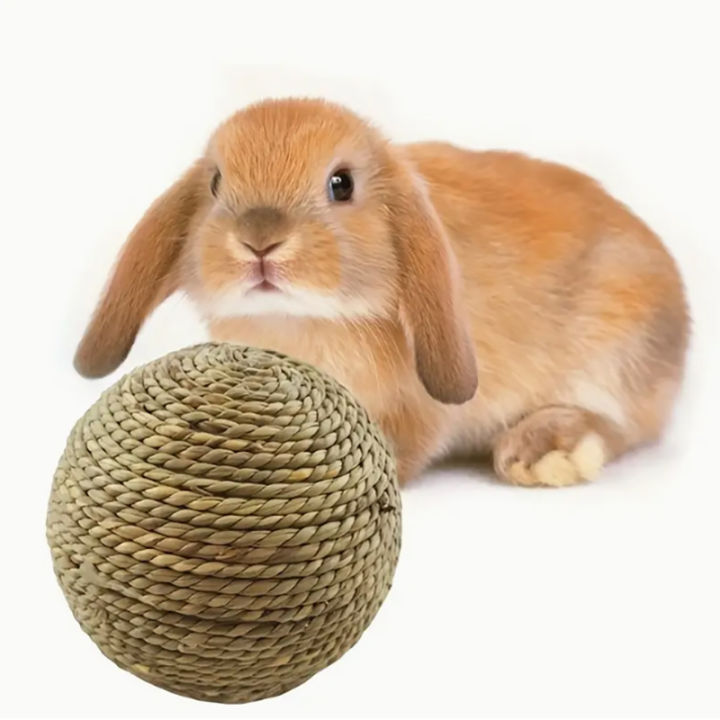 Handmade%20straw%20and%20rattan%20pet%20ball%20water%20grass%20ball%20parrot%20foot%20ball%20rabbit%20hamster%20cat%20pet%20chew%20toy%20ball%20chew%20toy%20to%20clean%20teet%20-%20Image%202