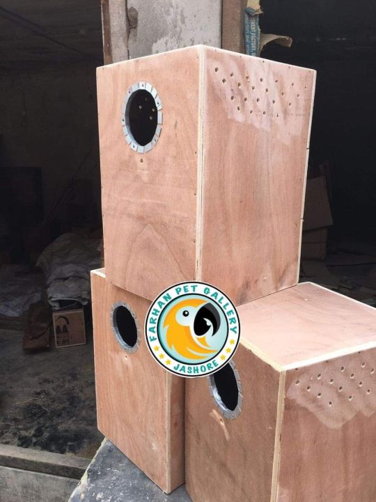 Ringneck Parrot Breeding Box